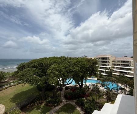 Palm Beach 603