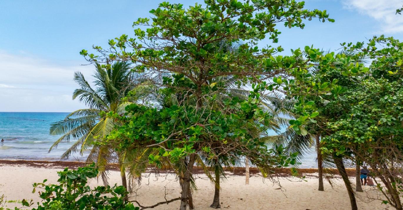 Accra site