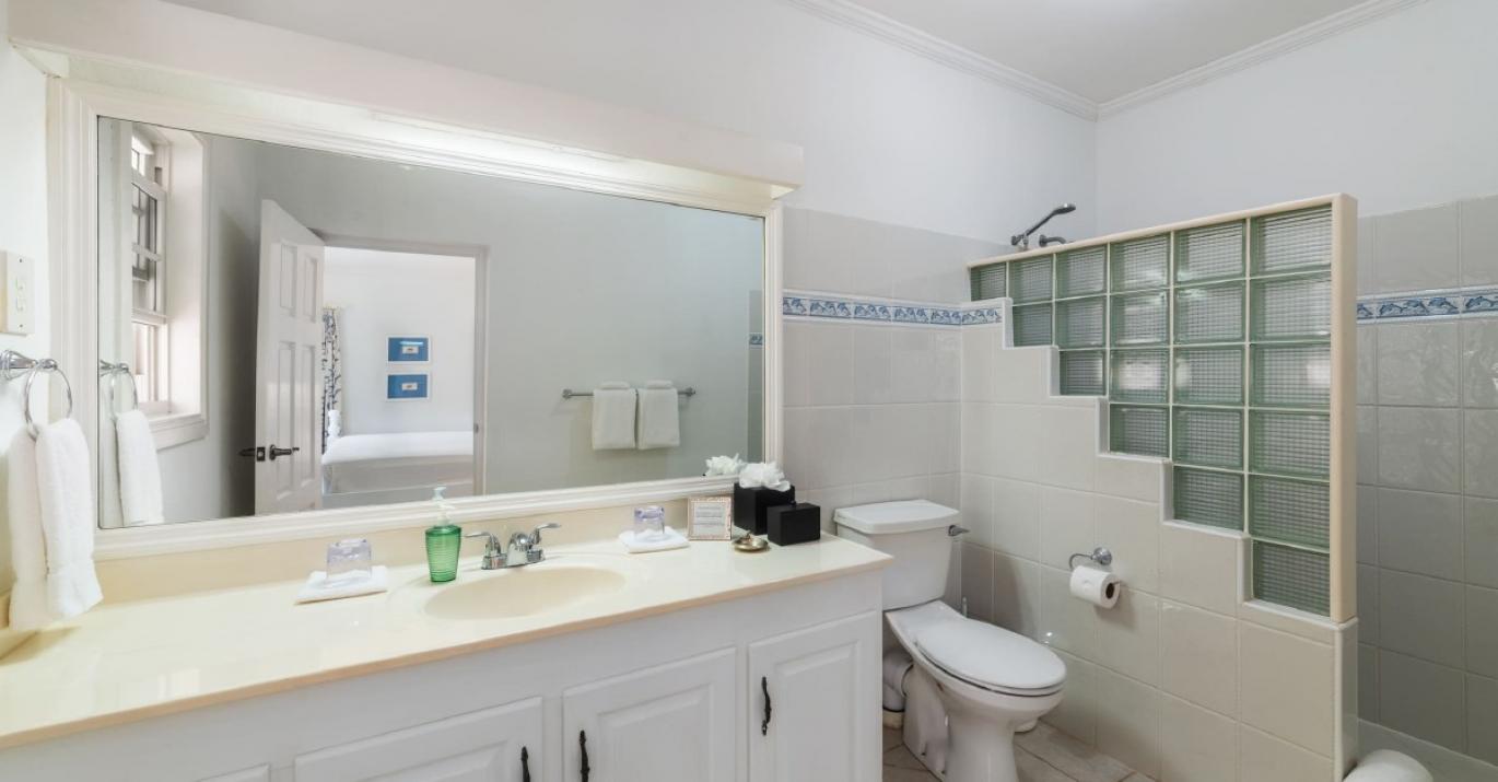 Ascot3 shower 587