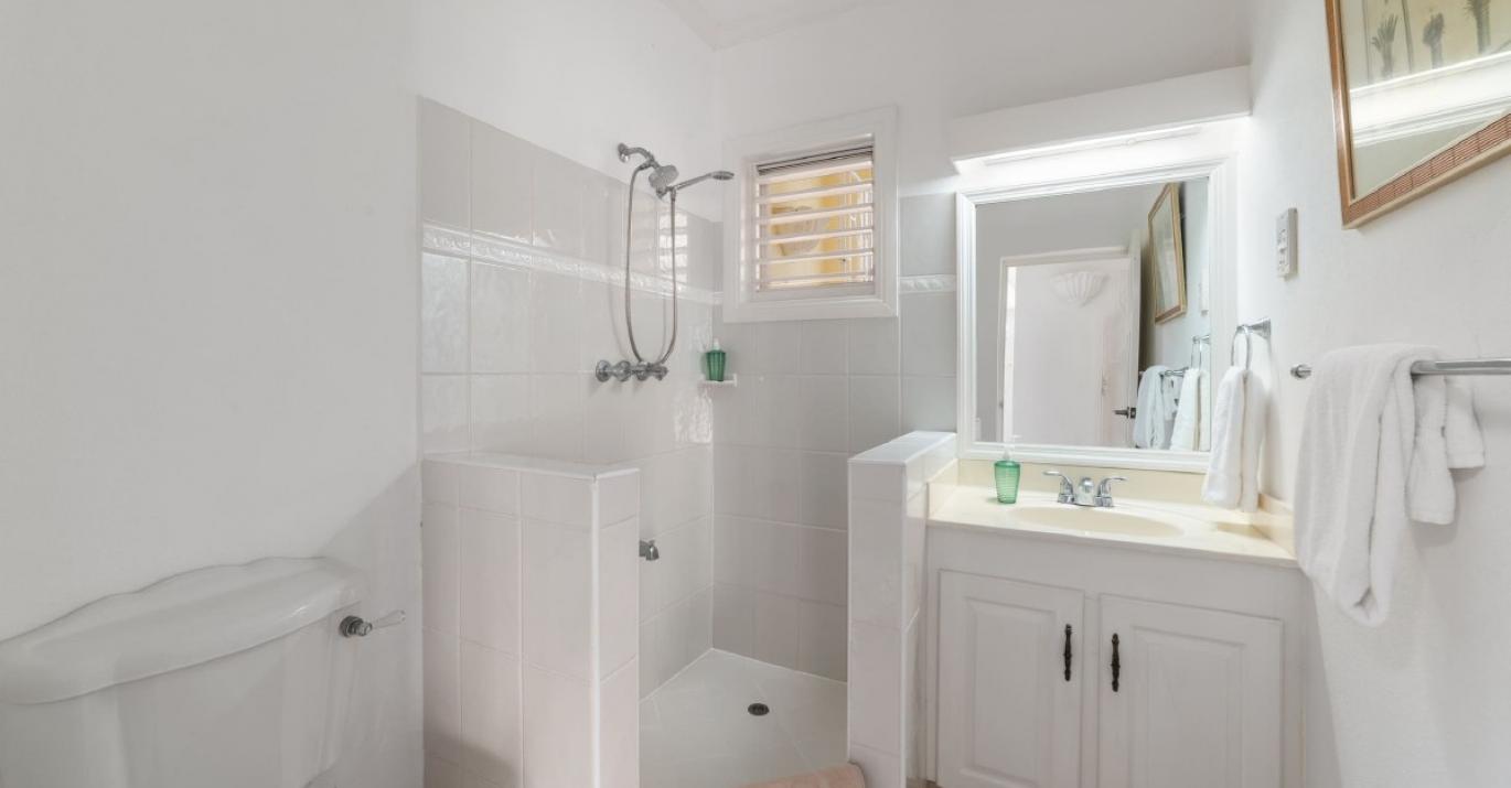 Ascot3 vanity and shower 682