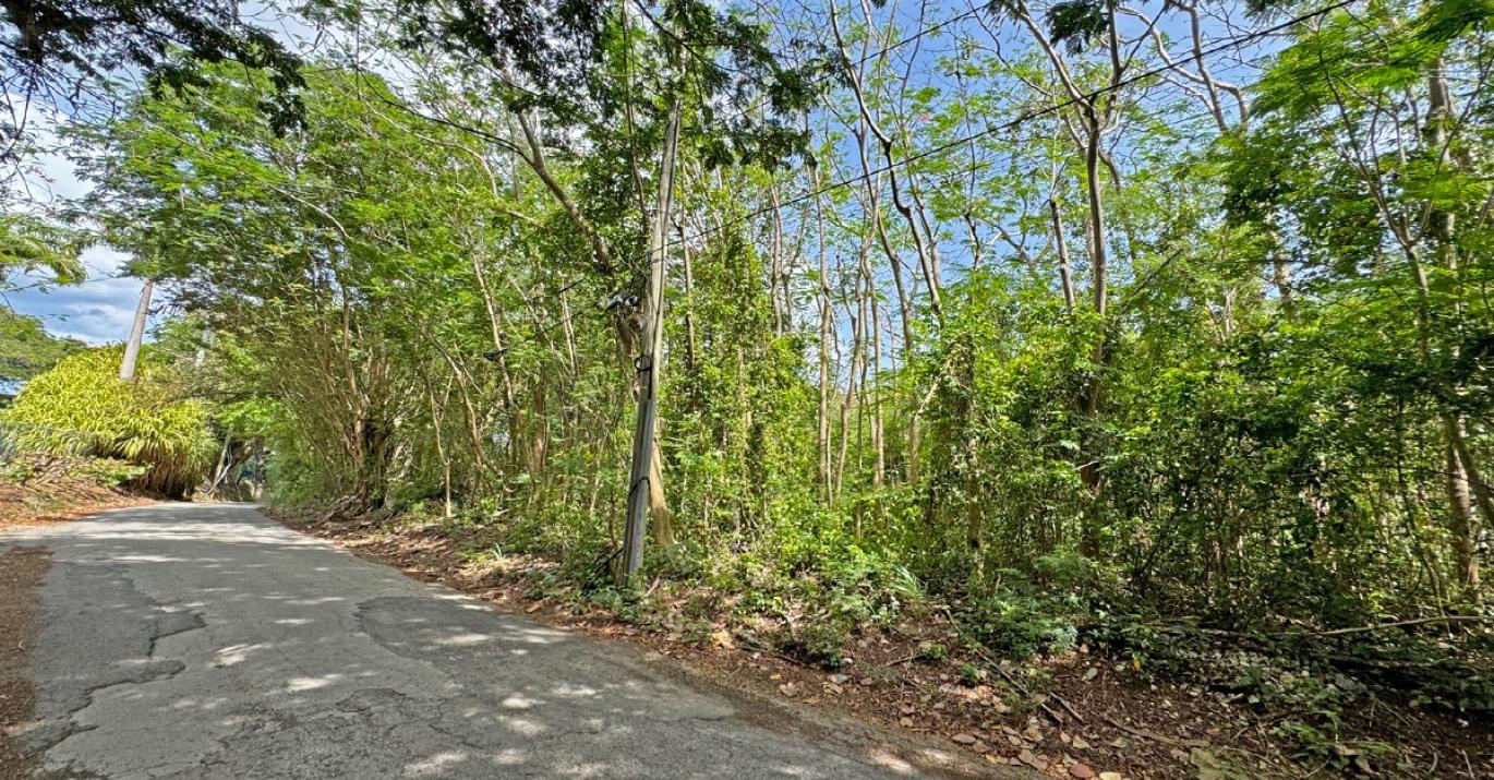EastryA&B Mullins Road