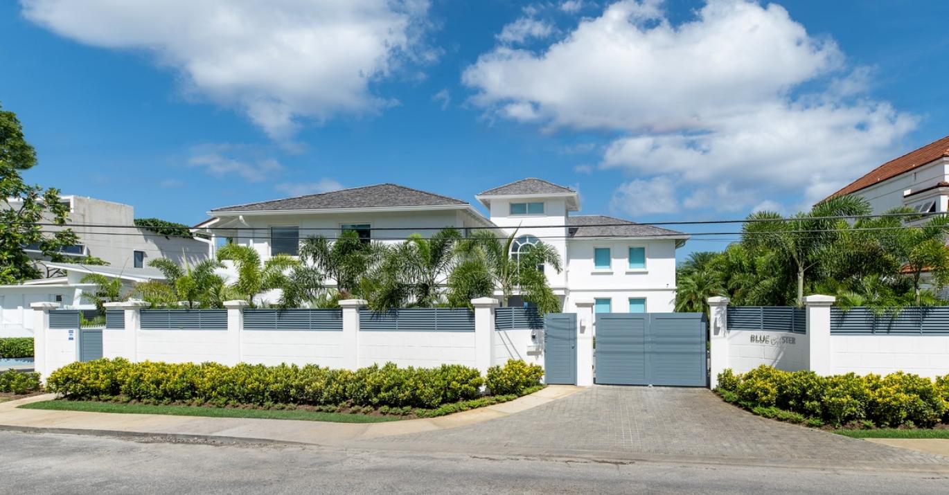 Blue Oyster External View