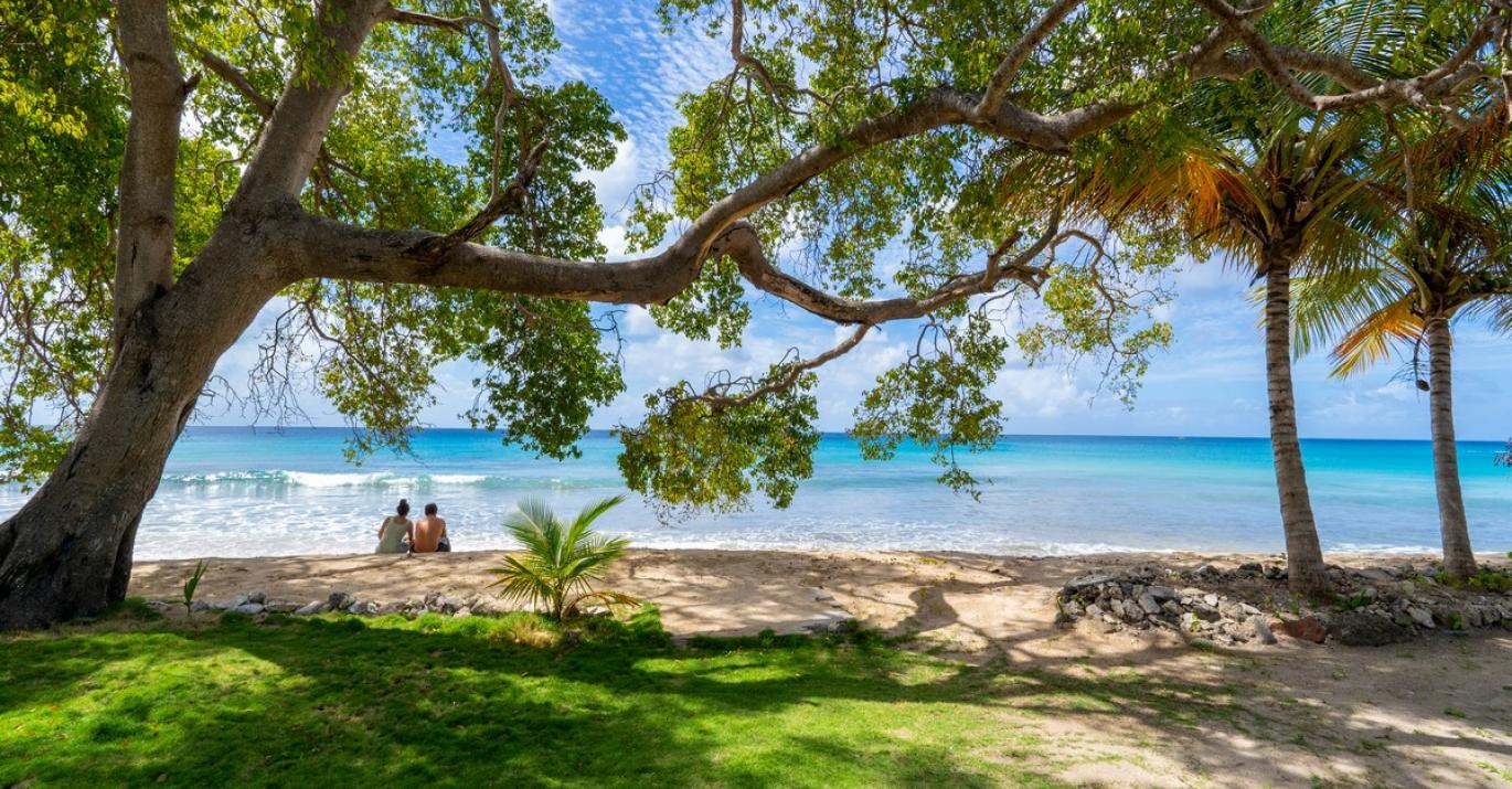 Chateau de Mar Speightstown Beachfront