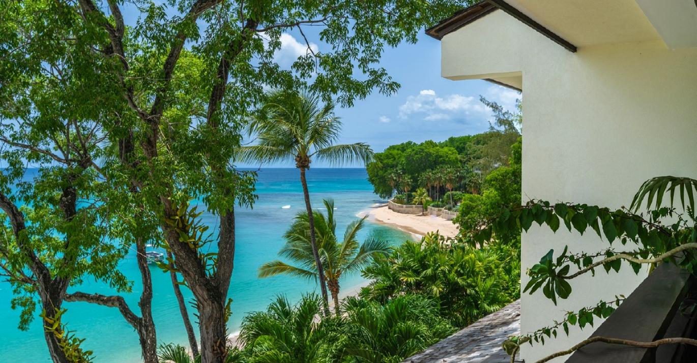 Coral Cove Caribbean Sea