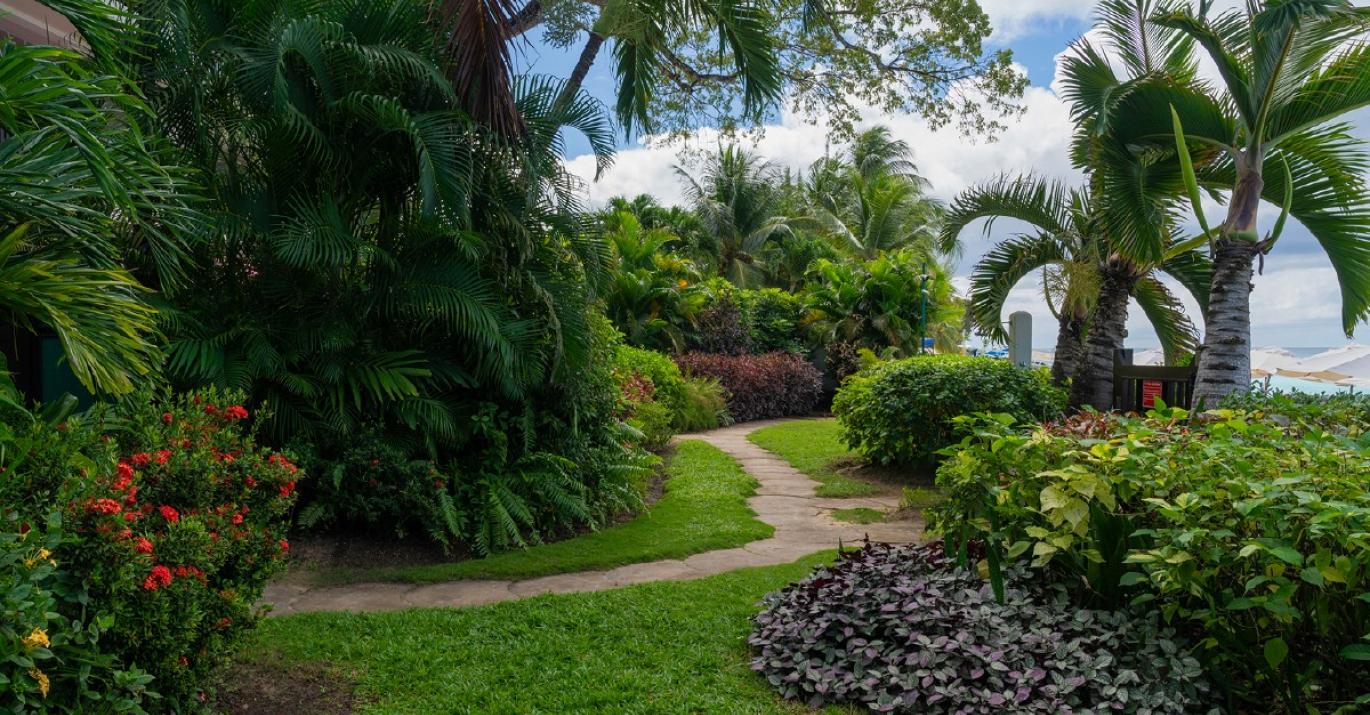Coral Cove Gardens