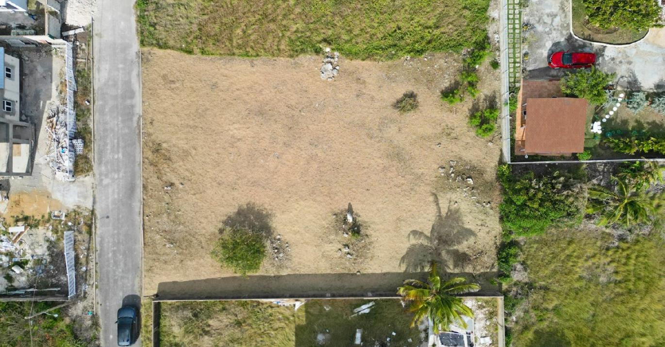 crane 17 birdseye view