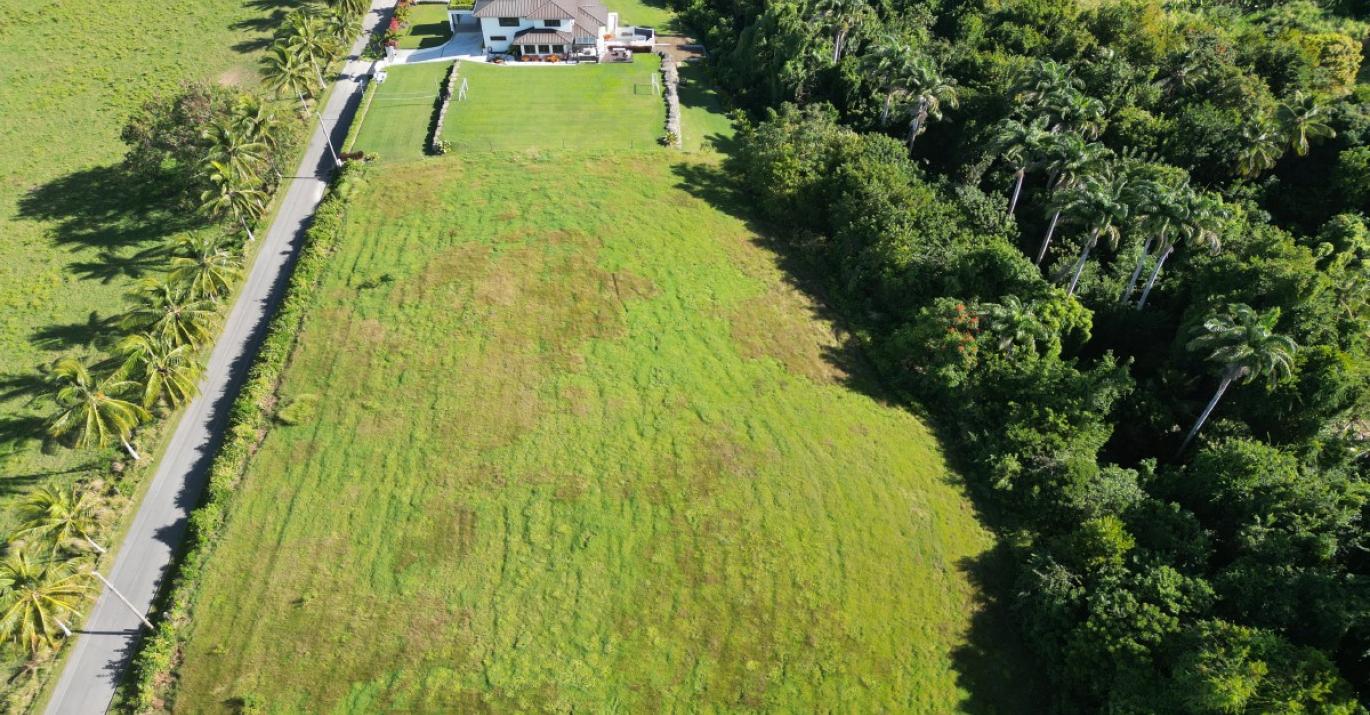 Highland Lot3 southview