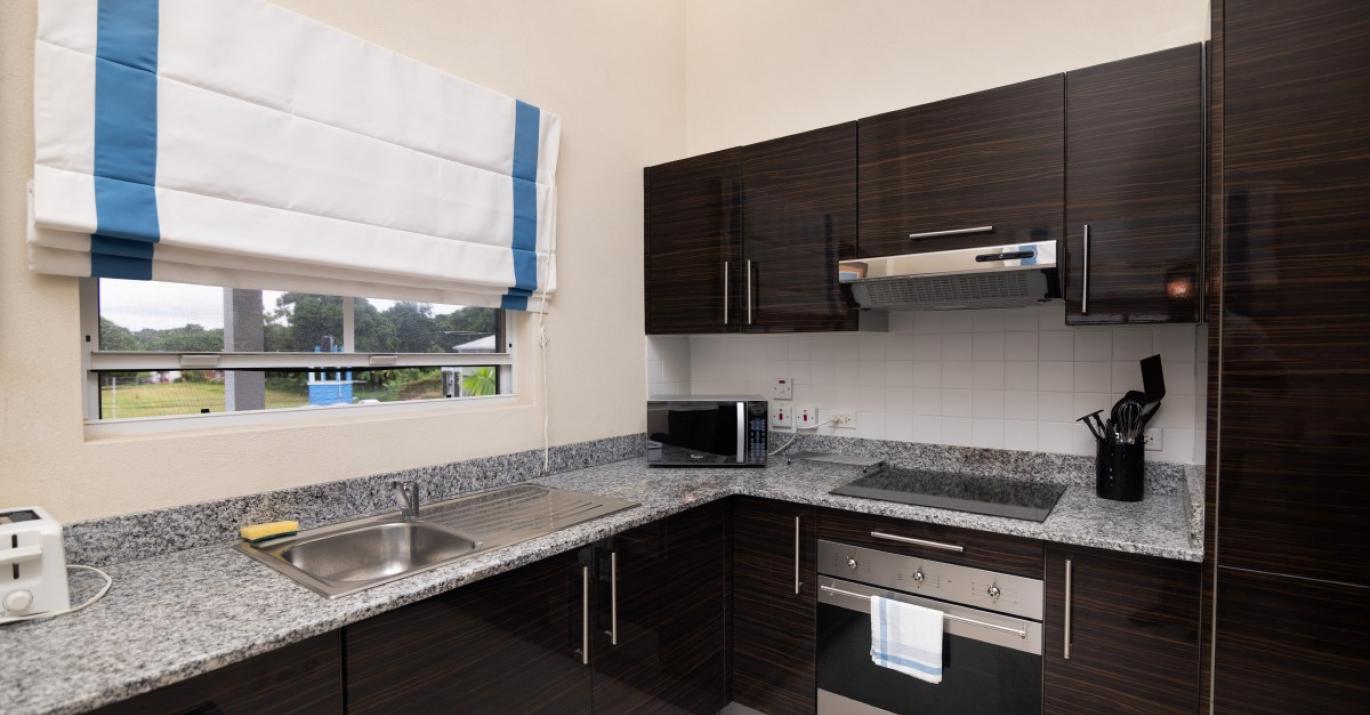 Lantana 45 modern kitchen