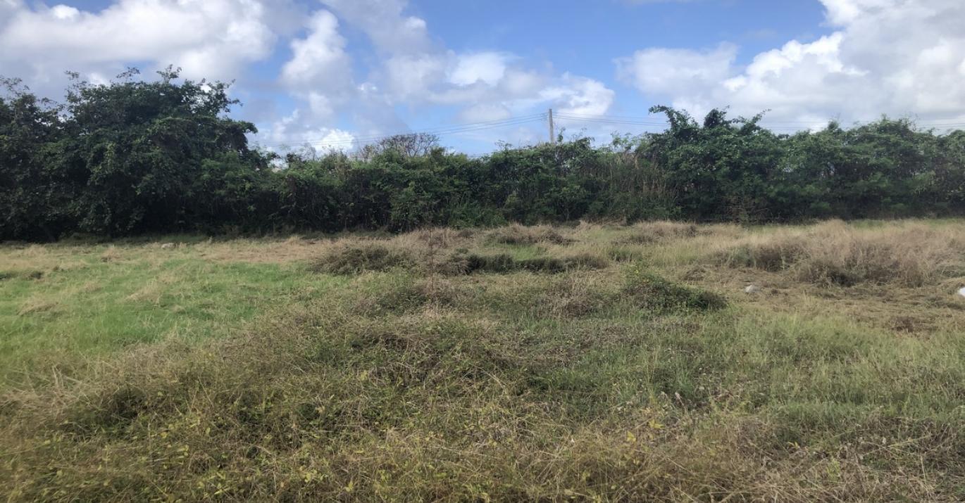 Mile Tree Hill Lot 6 land in Inch Marlow