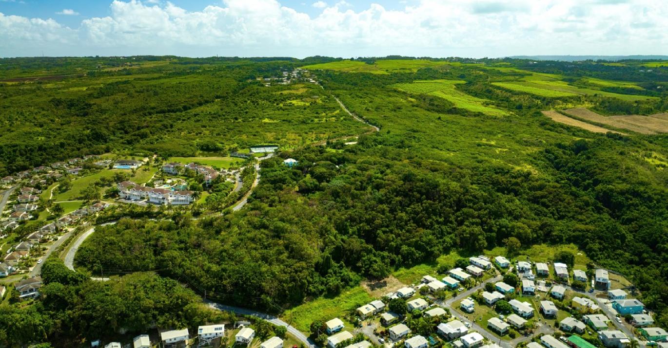 Mount Brevitor Residential Homes