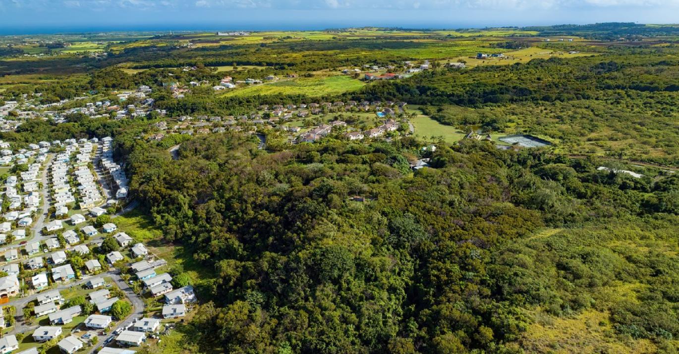 Mount Brevitor Three Lots