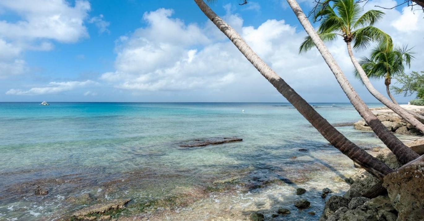 Mullins Reef Barbados Sotheby's International Realty • Barbados