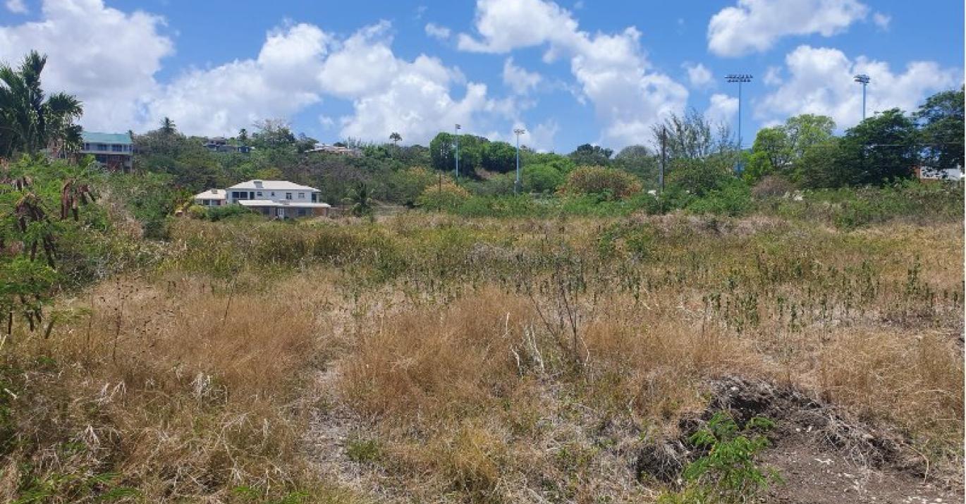Prospect Land Development