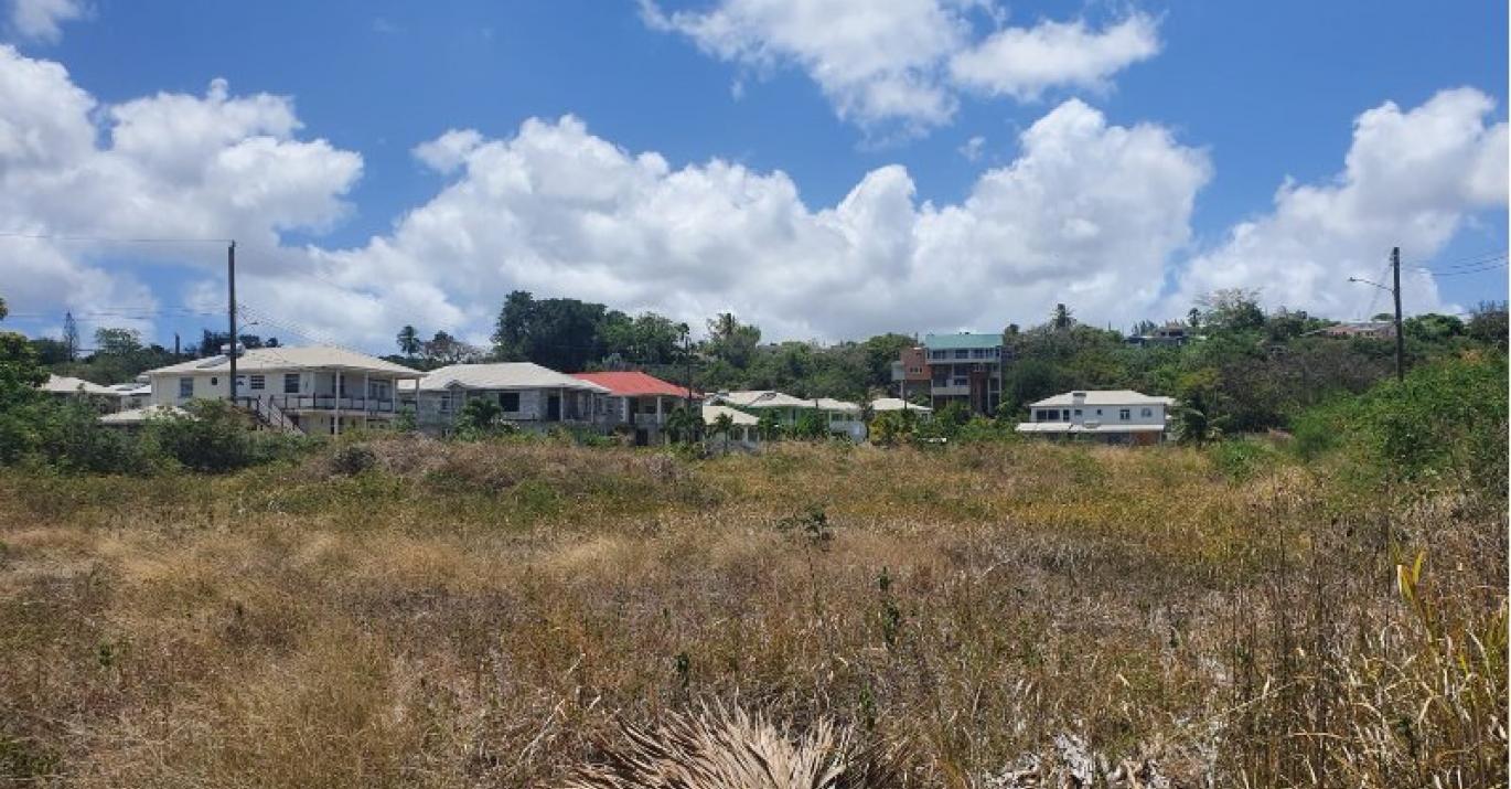 Prospect Land Neighborhood