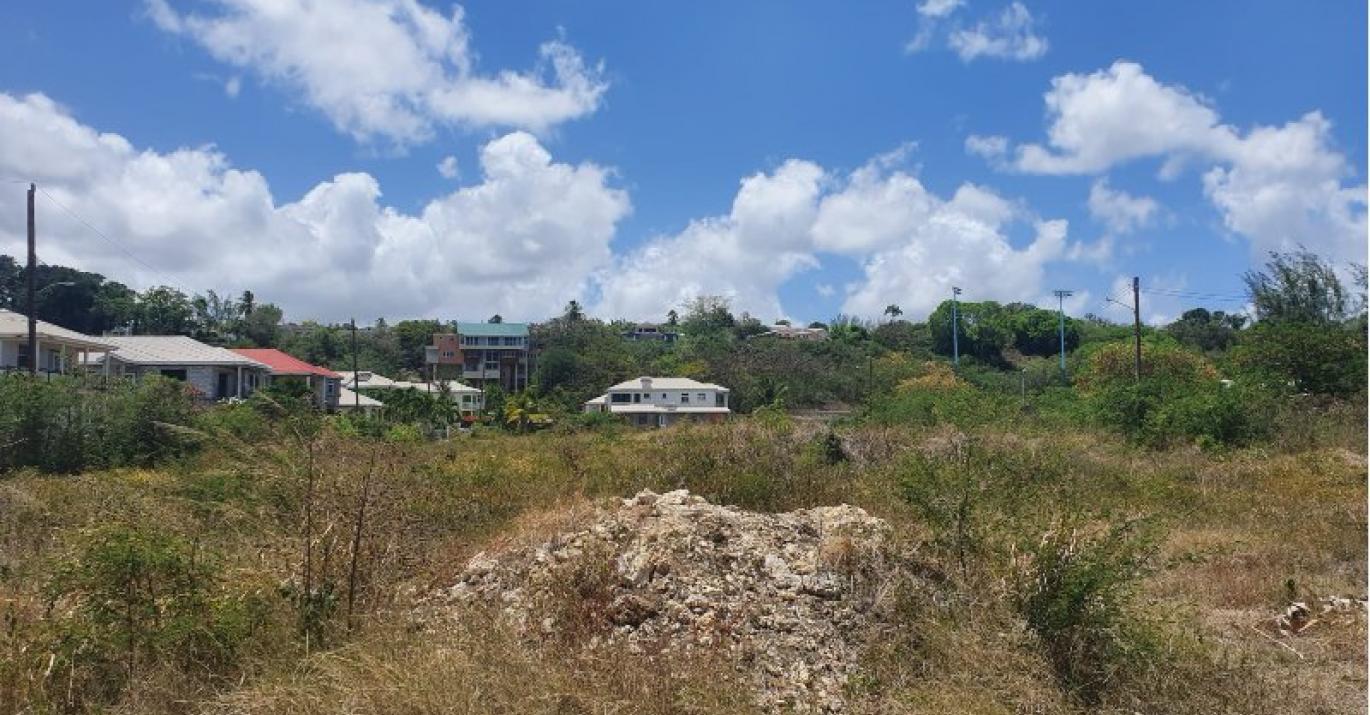 Prospect Land Surrounding Homes