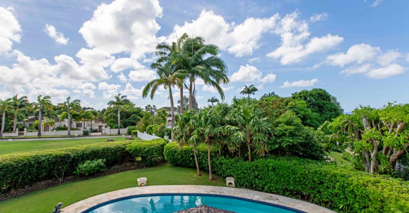 PALM GROVE 9 41