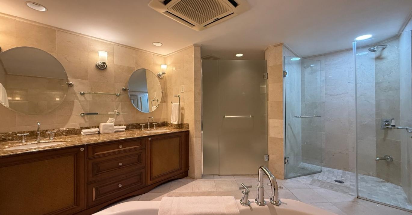 SPB305 bathtub shower 572