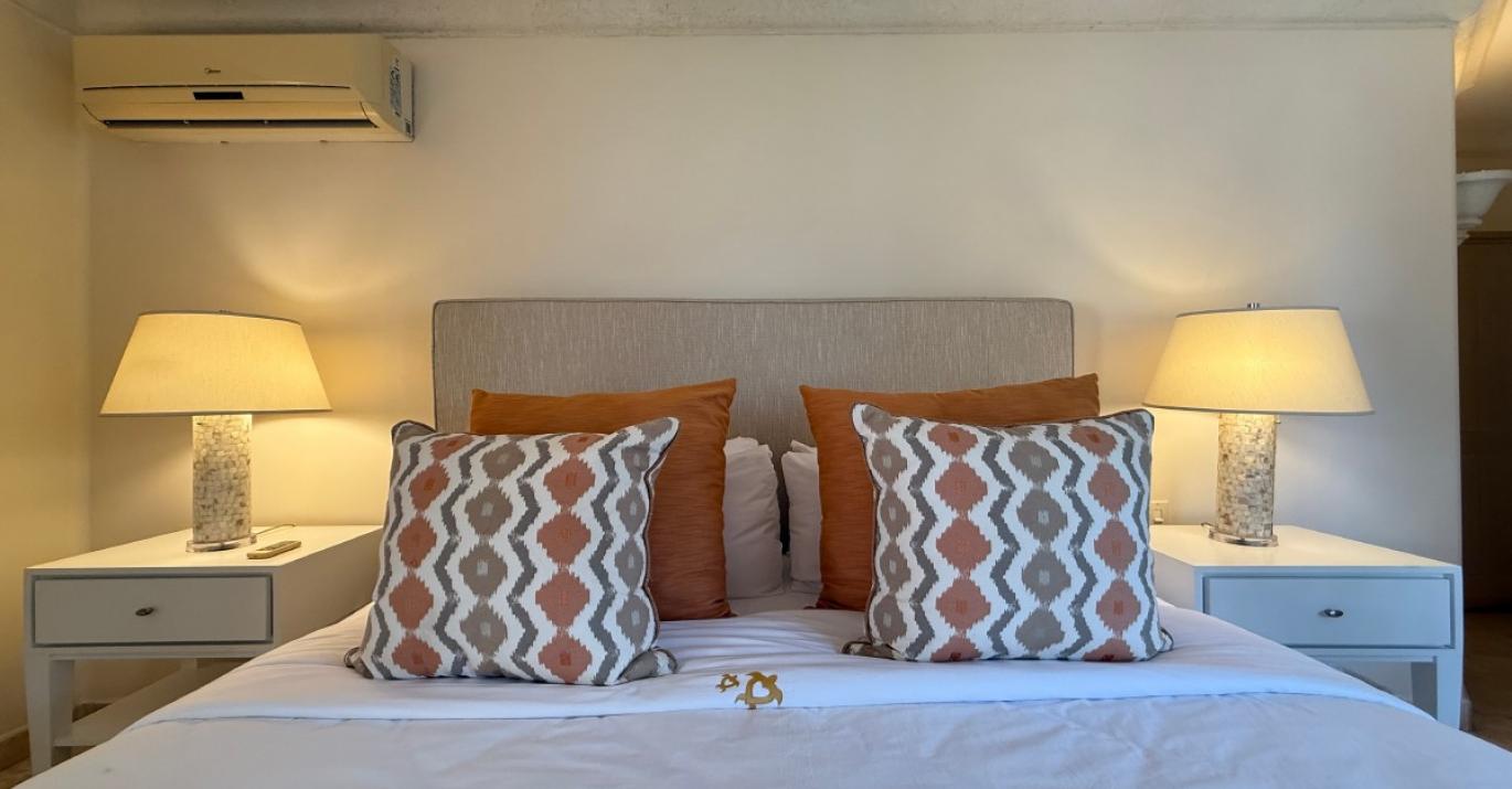 SPB305 pillows 555