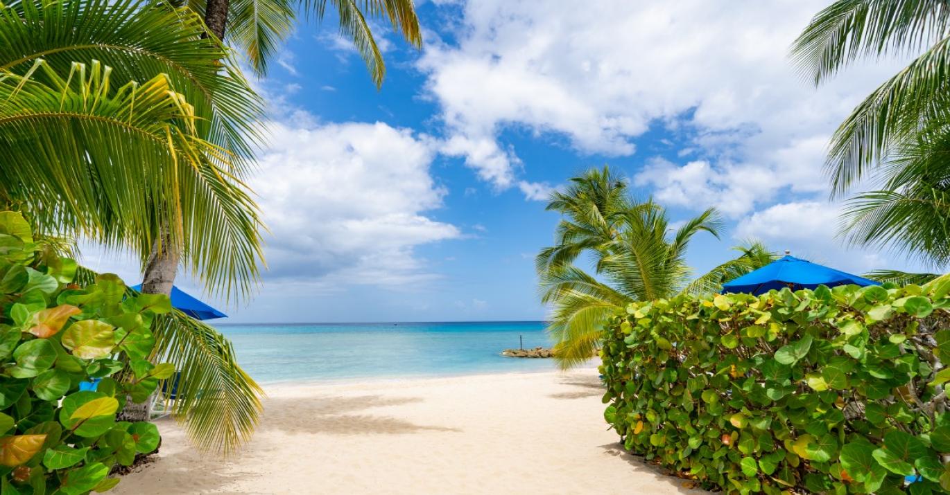 schooner bay 305 beach