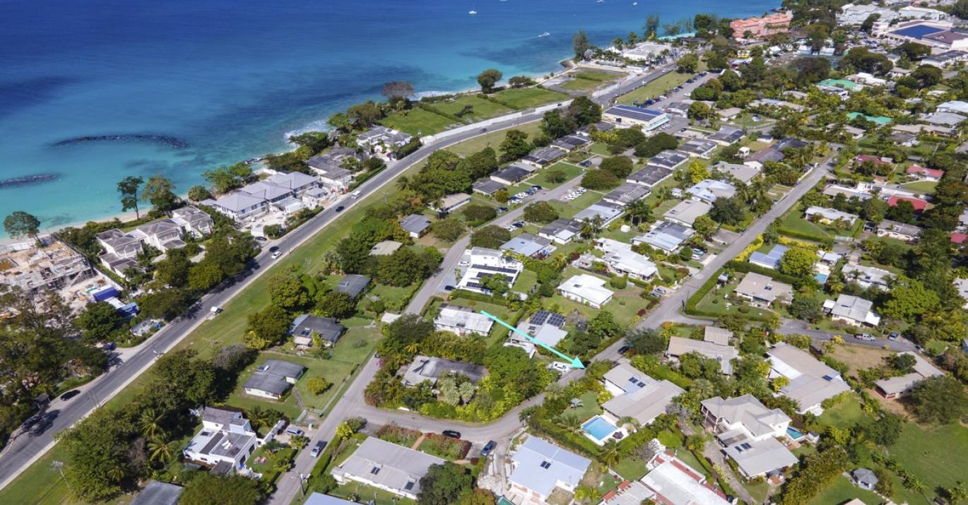 Tilting Trees Aerial 3