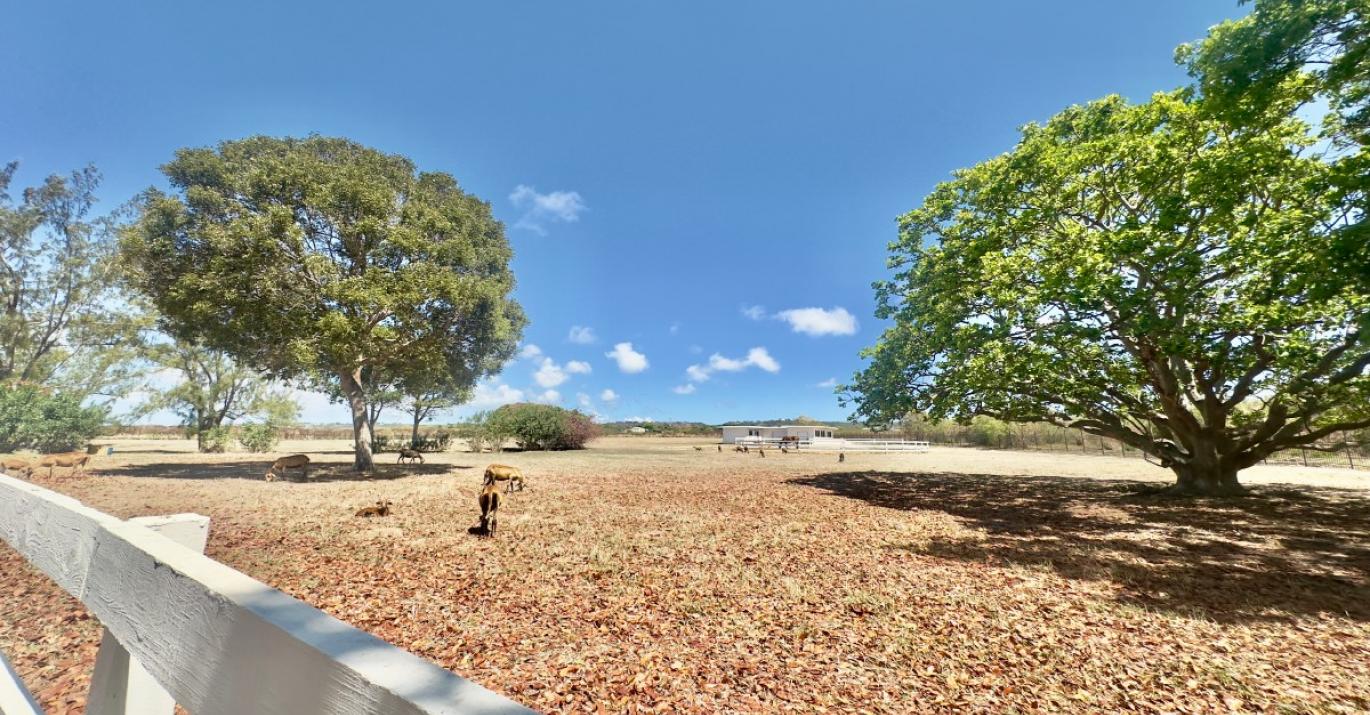 Topaz fenced grounds 6