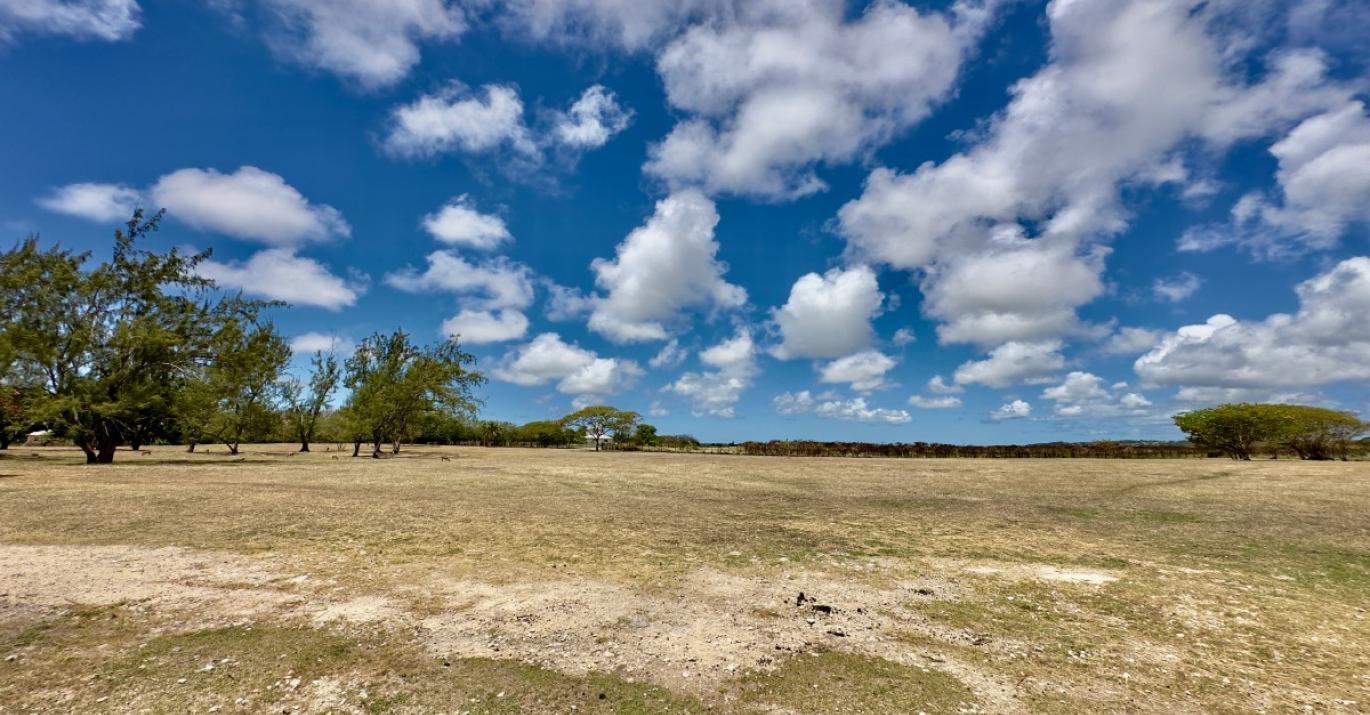Topaz large acreage 38