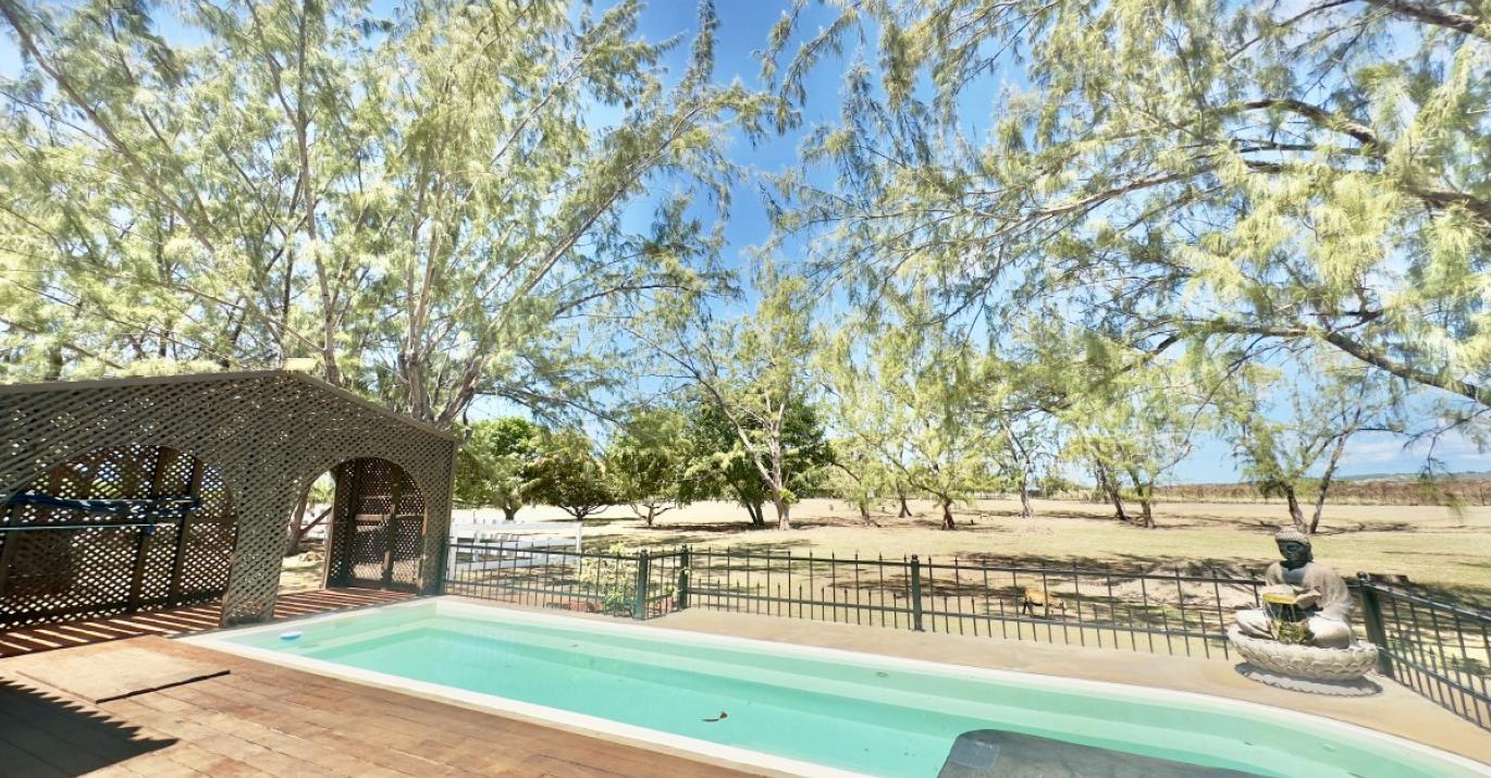 Topaz pool 9