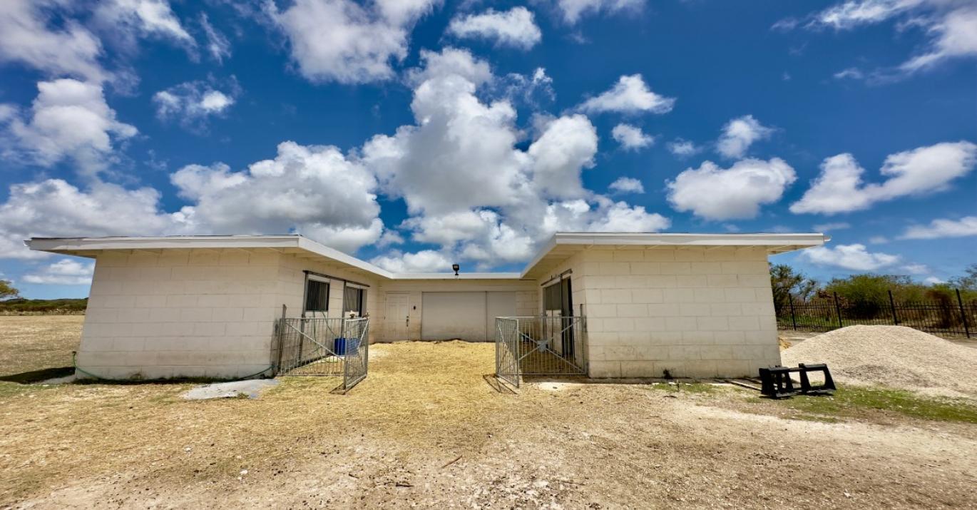 Topaz stables 36