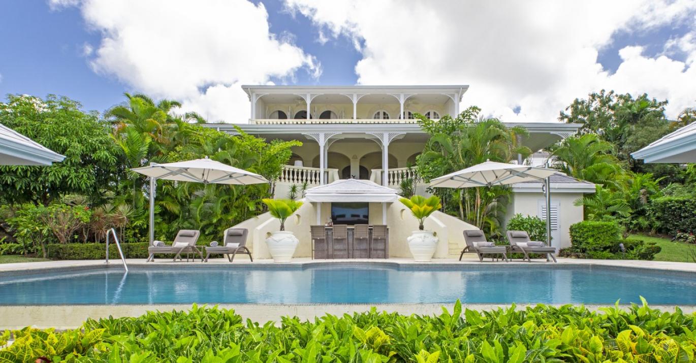 View of Fig Tree from Across the Pool