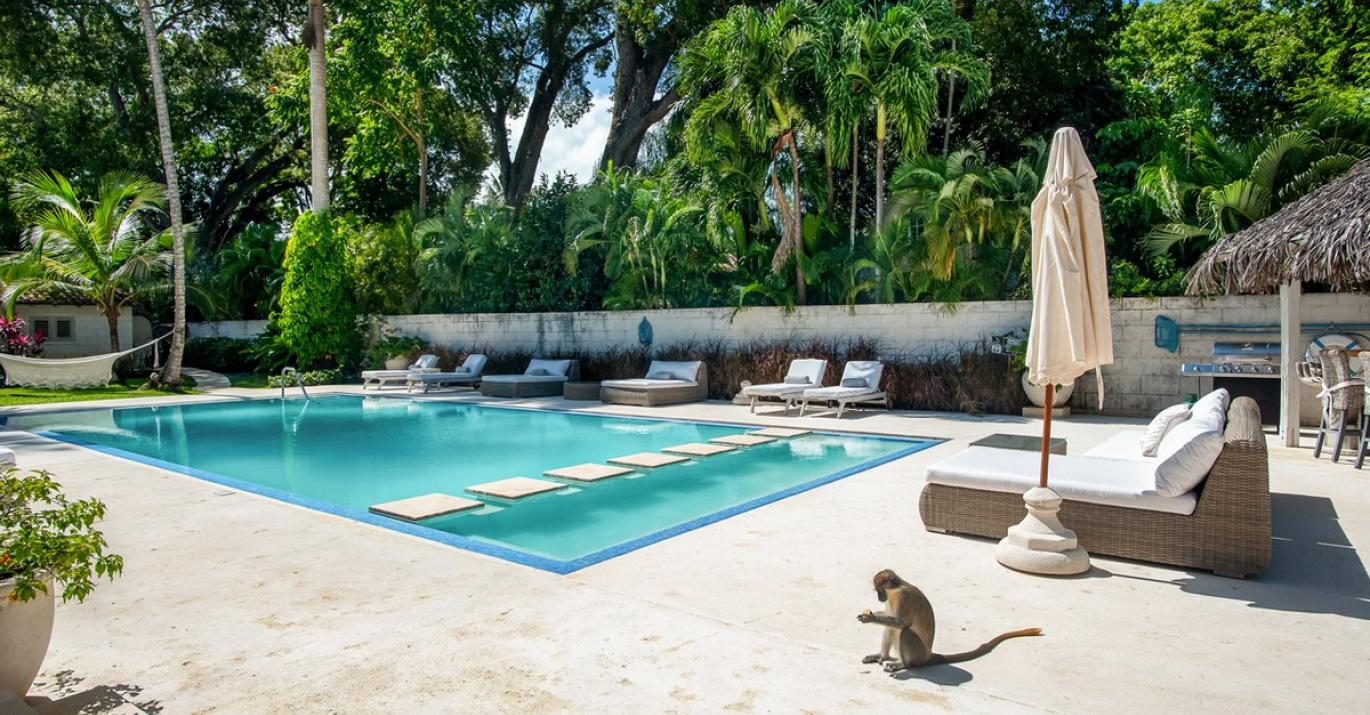 Villa Melissa Pool Green Monkey