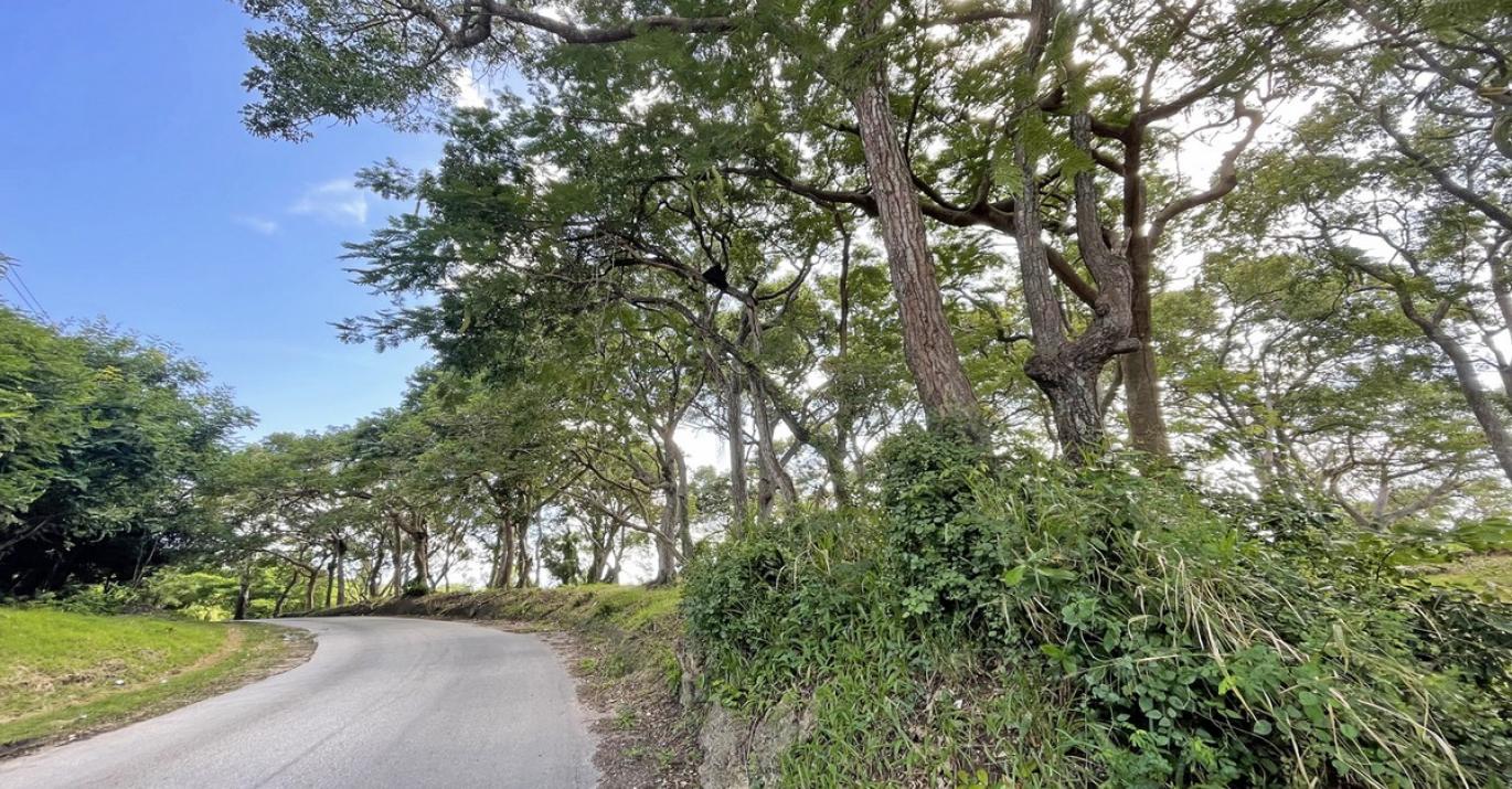 Westmoreland Plantation adjacent Porters Road