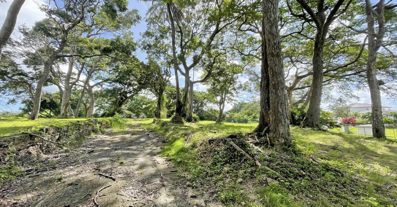 Westmoreland Plantation Grounds and Trail
