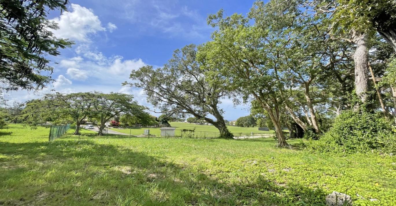 Westmoreland Plantation Trees and Grounds