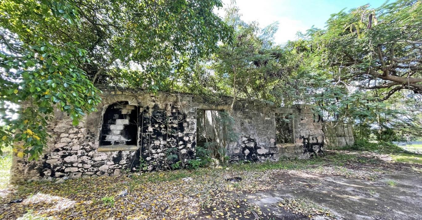 Westmoreland Plantation Old Outbuildings