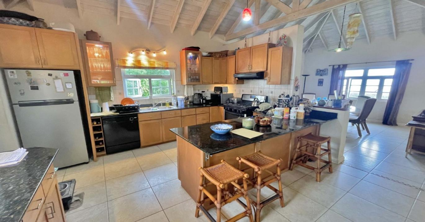 Wild Cane Ridge2 kitchen