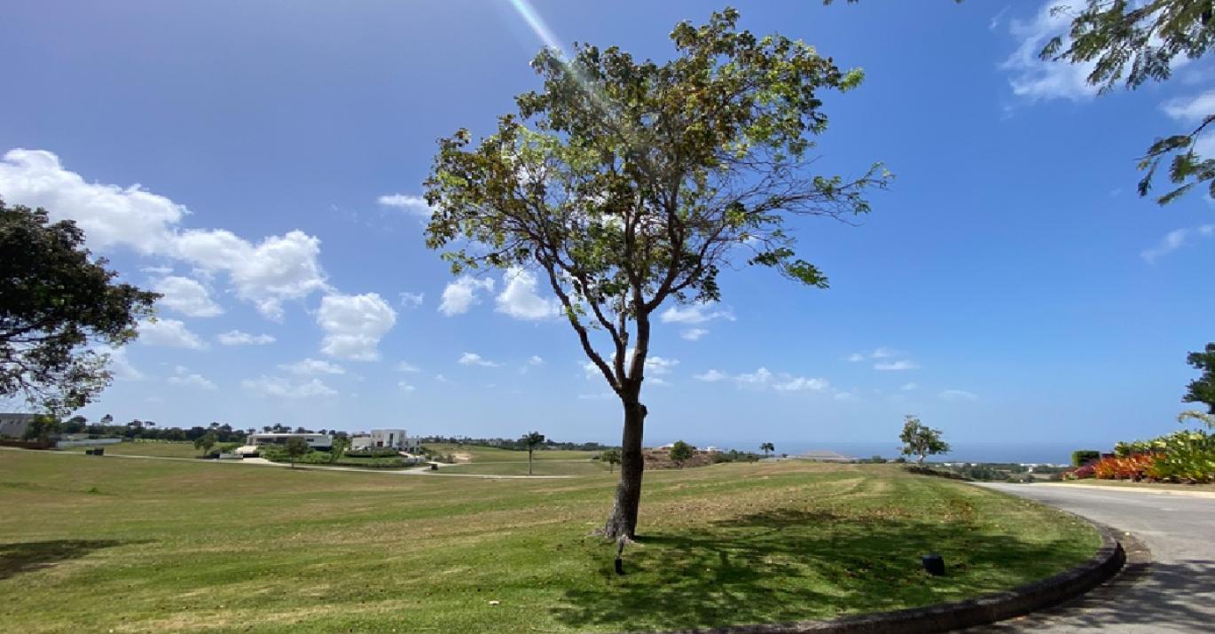 apes great hill corner lot