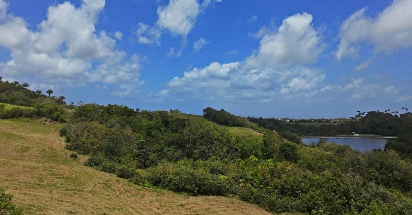canefield 8 nature retreat