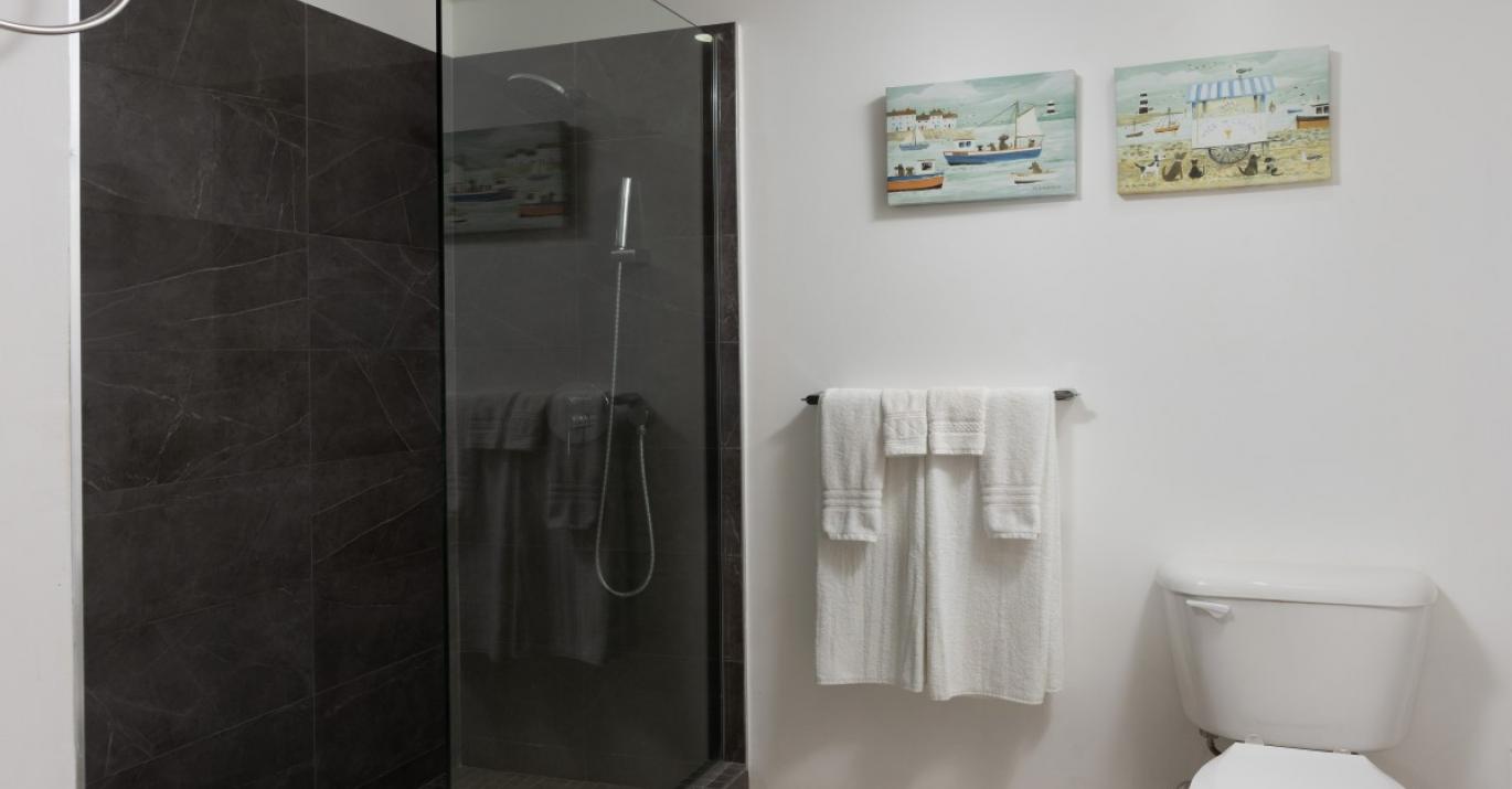 cassia 29 shower