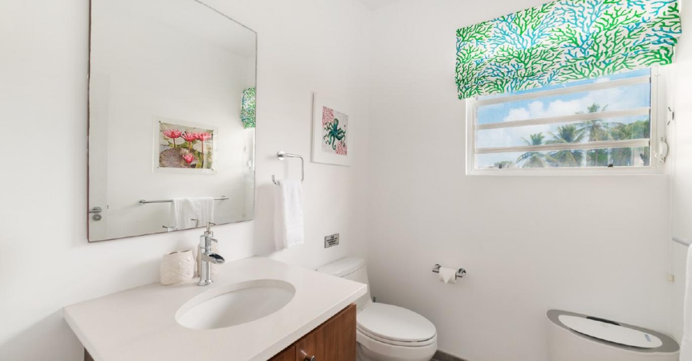 craggy flying fish powder room