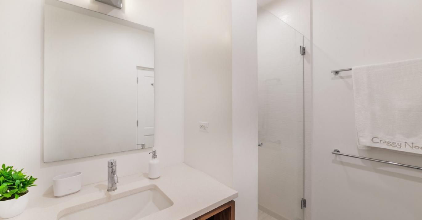 craggy flying fish queen ensuite