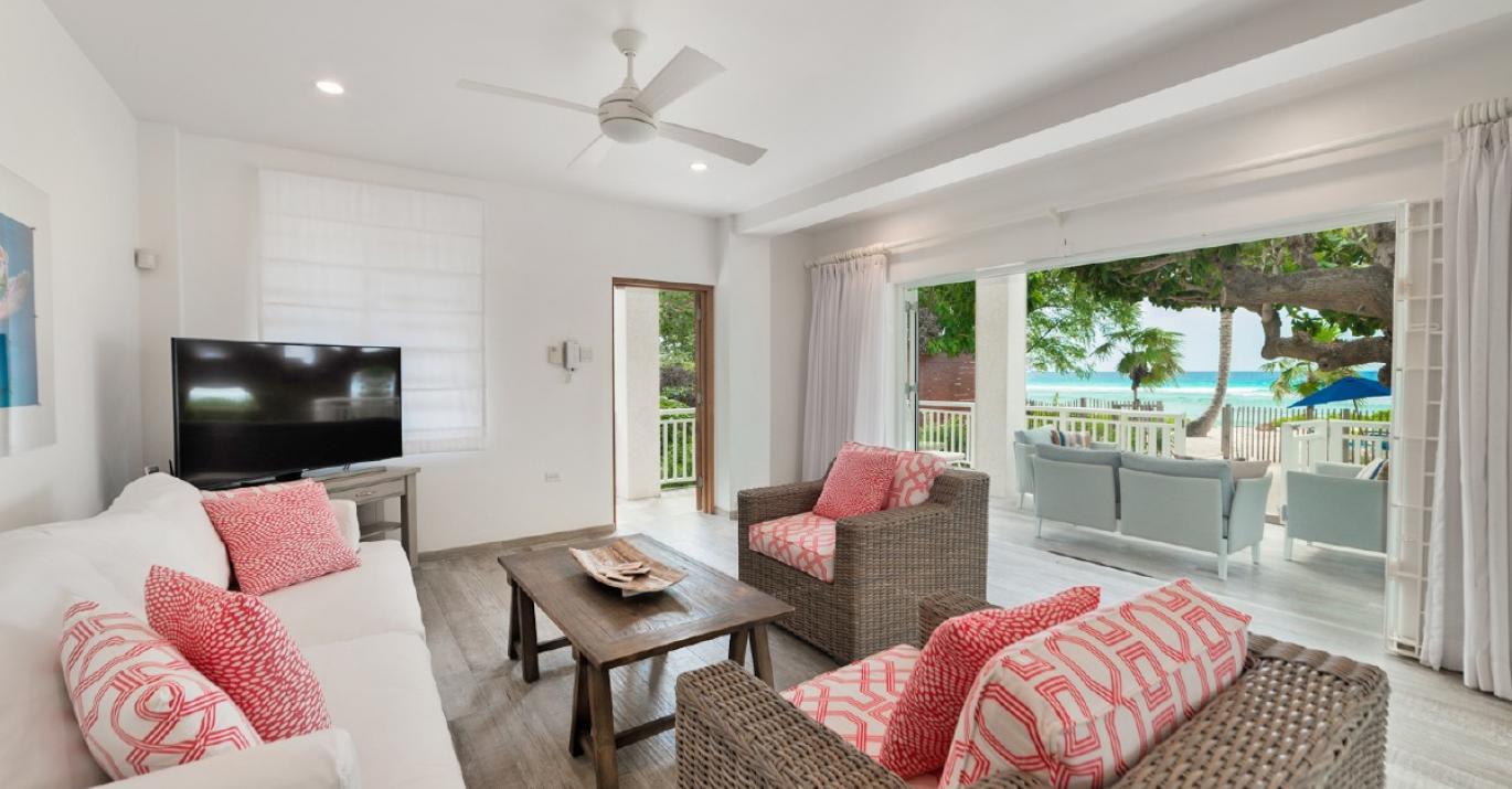 craggy hawksbill ocean living