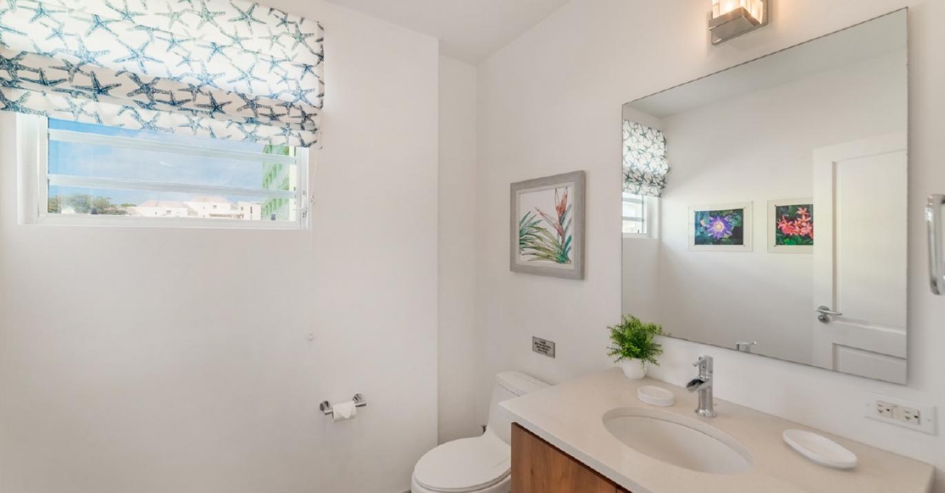 craggy nook green monkey bathroom