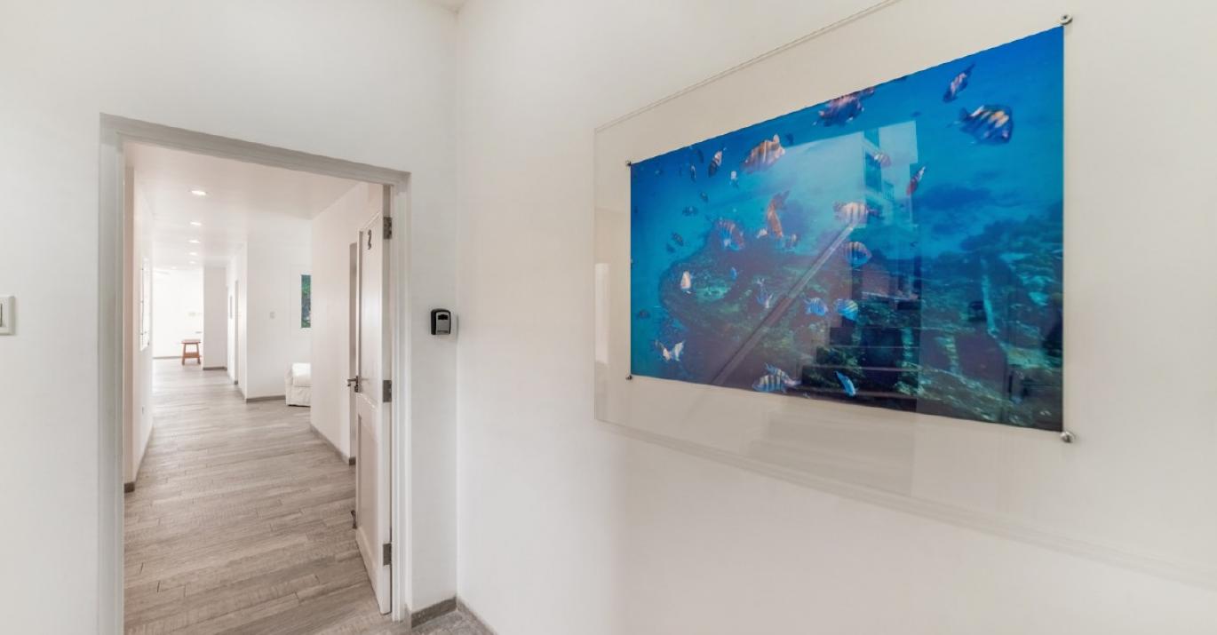 craggy nook green monkey hallway