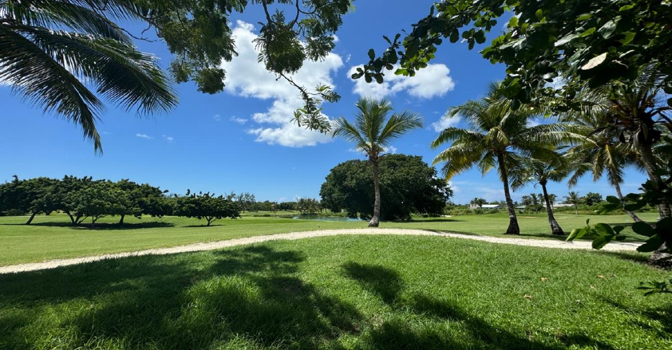 golf course from durants 61