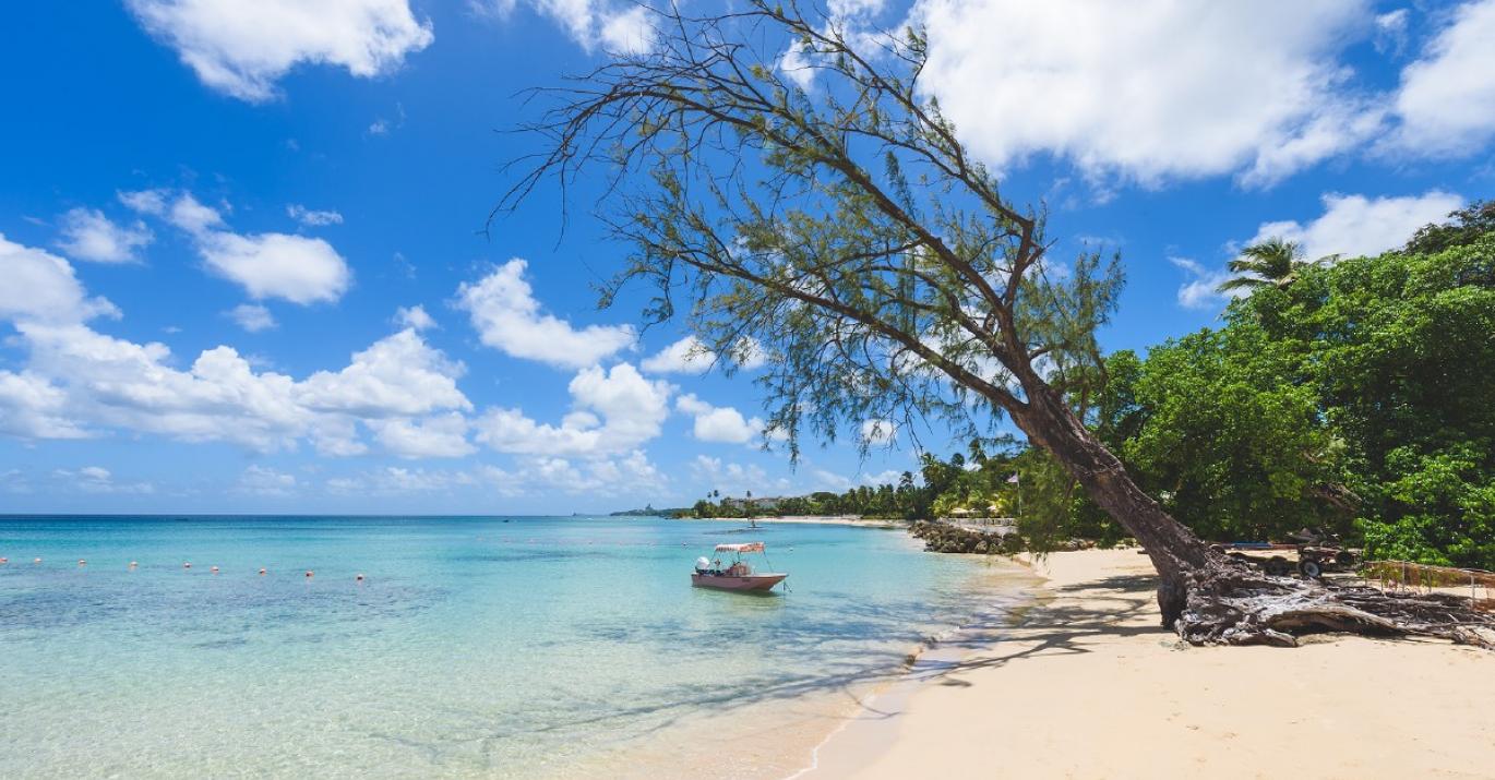 lazybones white sandy beach
