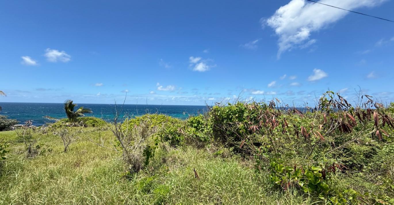ocean city lot 60 real estate