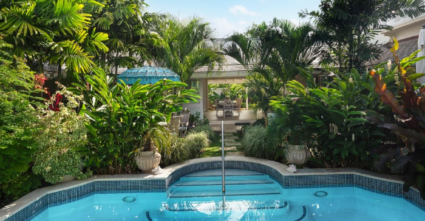 palm grove5 lush garden