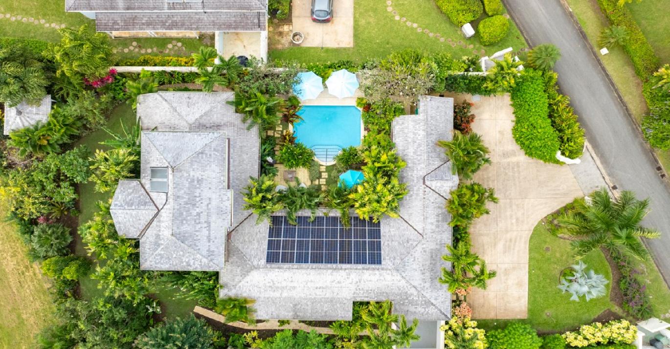 palm grove5 overhead view