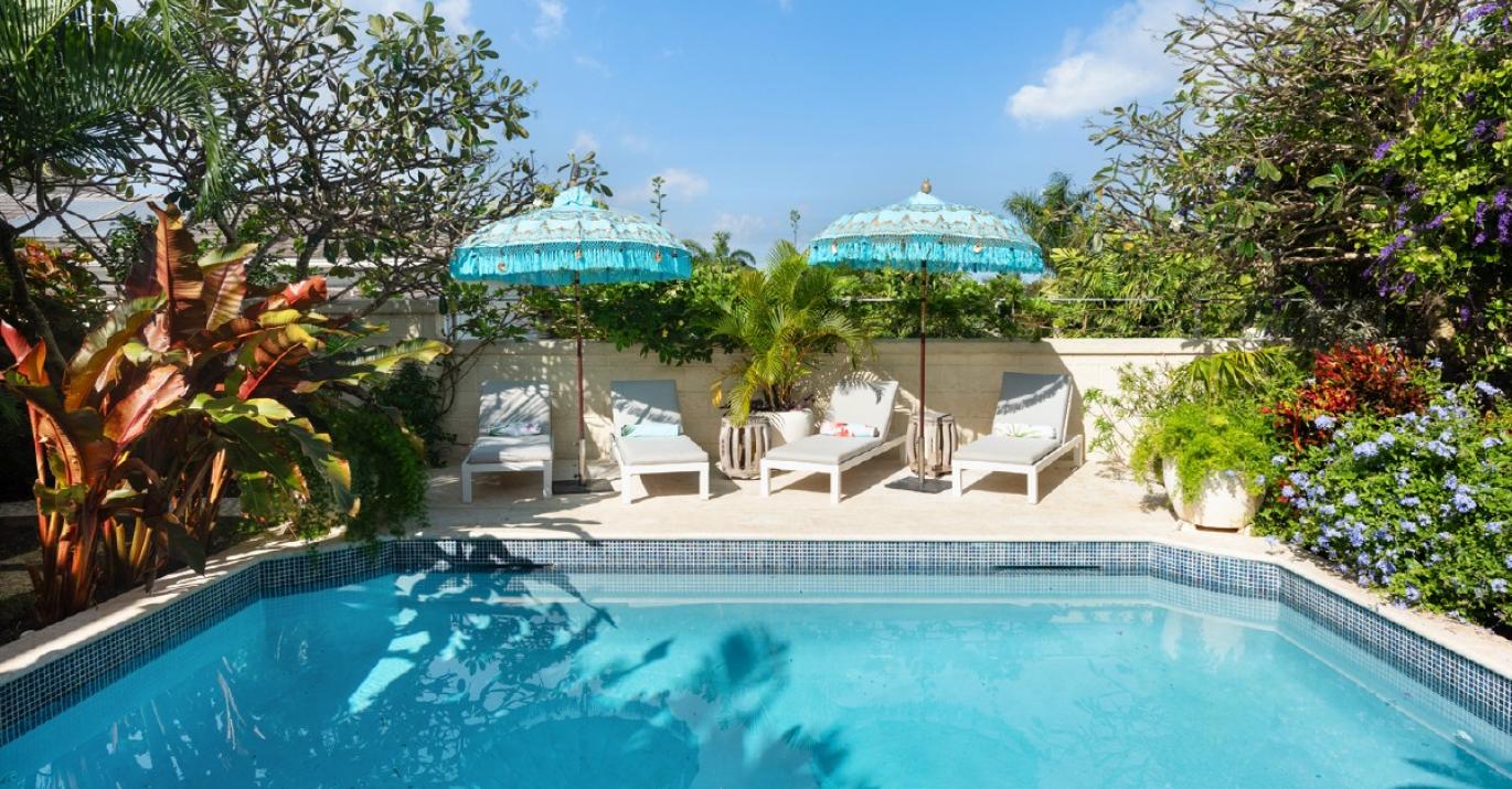 palm grove5 pool
