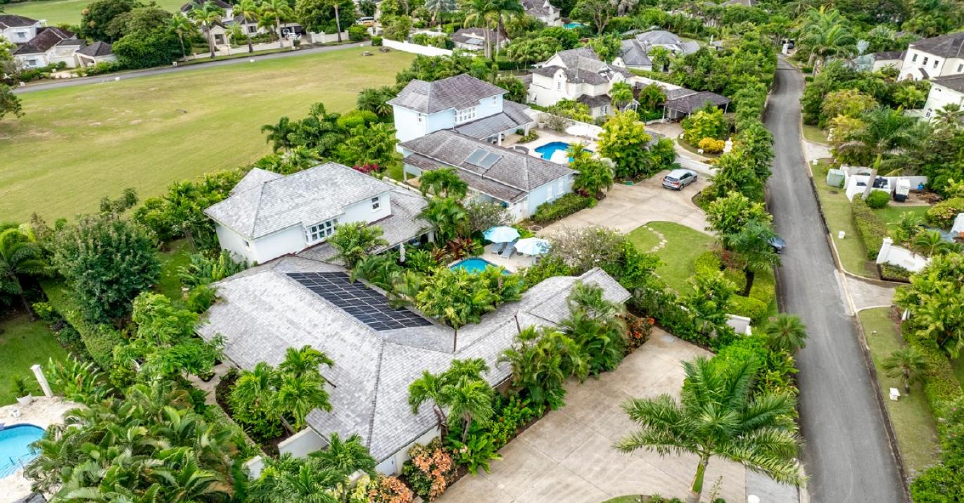 royal aerial palm grove5